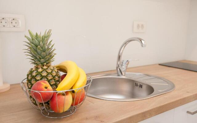 Studio apartments Tara