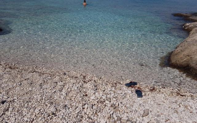 Holiday house Jaka 2 - with pool : Sumartin, Island Brac