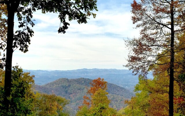 Wild Cat - 1 Br Cabin