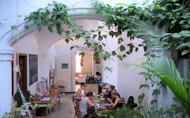 Tunido - Hostel