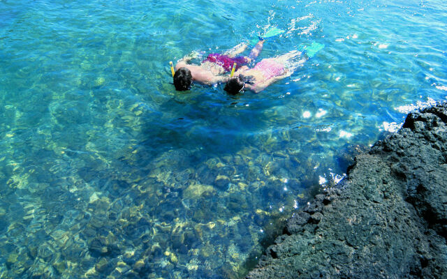 Fairmont Orchid