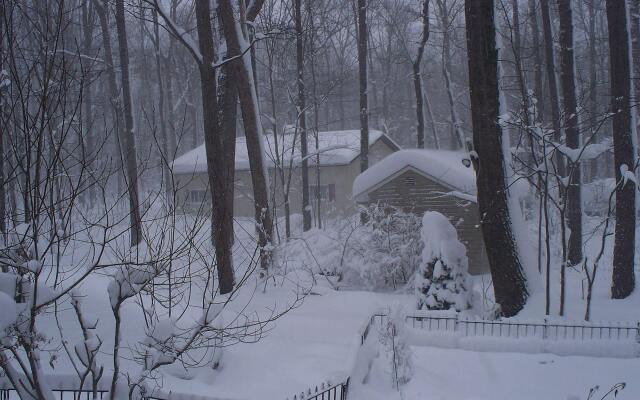 Bear House Bed and Breakfast