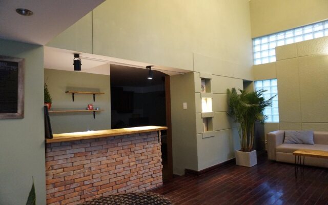 Leiden Homestay & Cafe