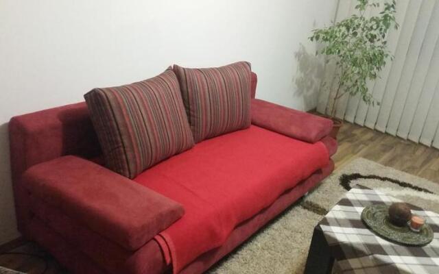 Cluj Lux Apartment Plopilor