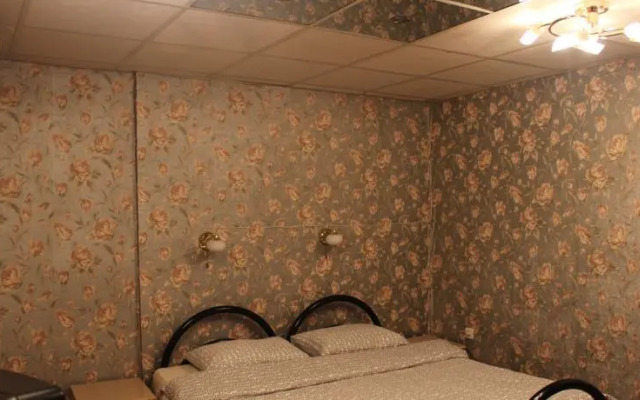 Селена на канале Грибоедова