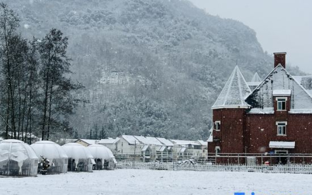 LUCIGOGO Luxi Valley White Deer Private Soup Tent Camp