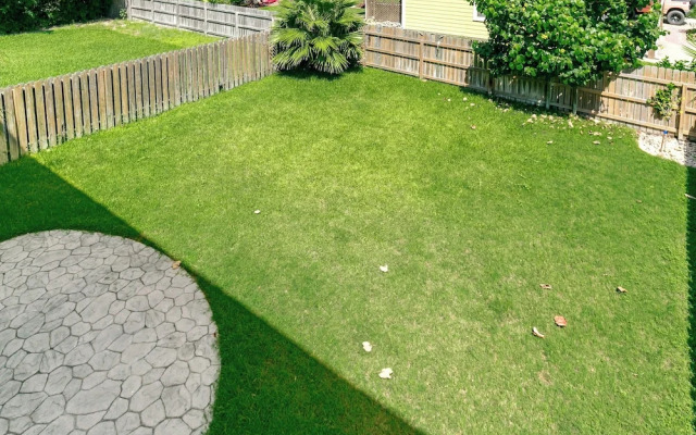 Pp820-ray of Sunshine