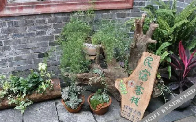 Yangliu's Yard
