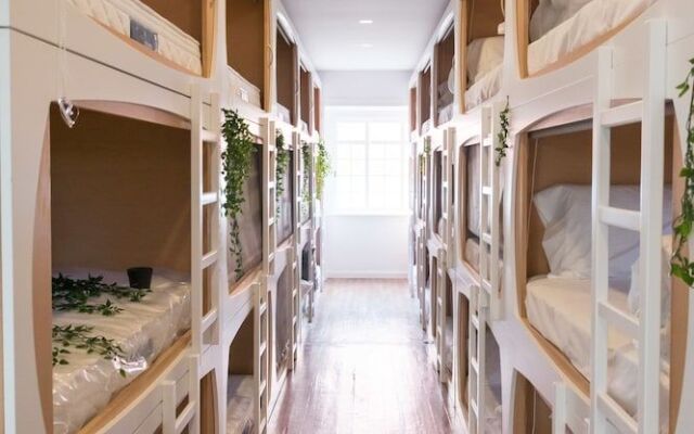 The Mulberry Tree Lisbon Hostel