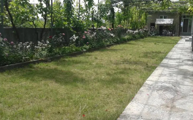 Villa David
