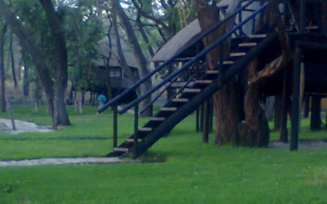 The Tree Lodge at Sikumi