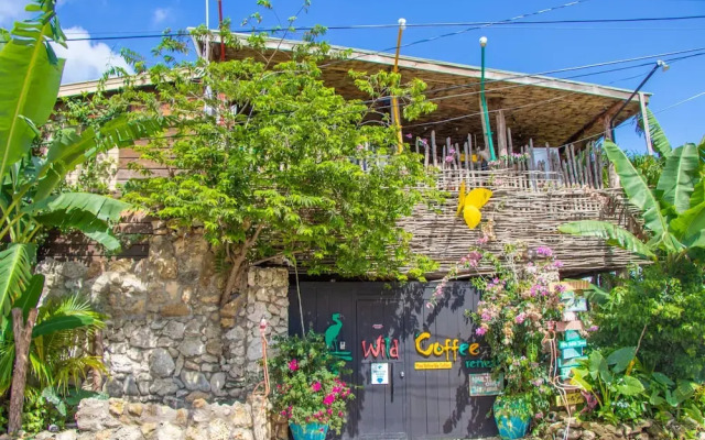 Wild Coffee Retreat - Adults Only