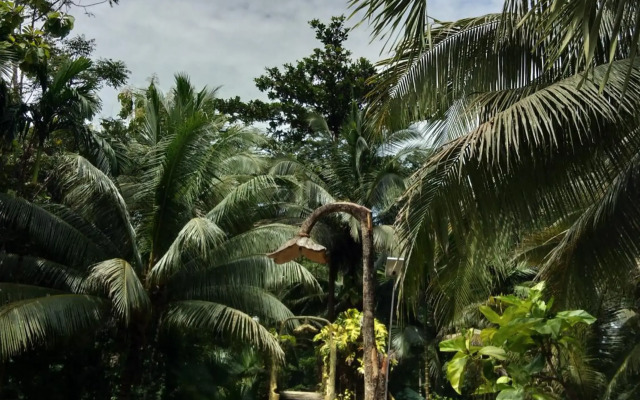 Sepilok Jungle Resort