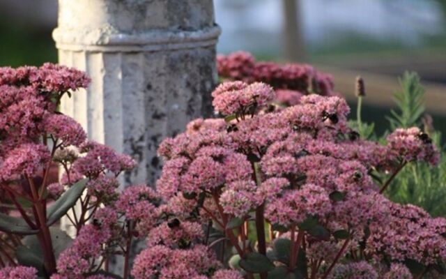The Knowe B&B