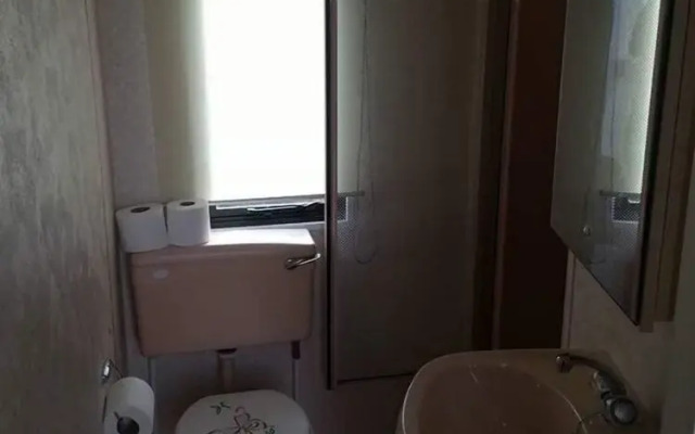 T & J's Caravan - Golden Palm