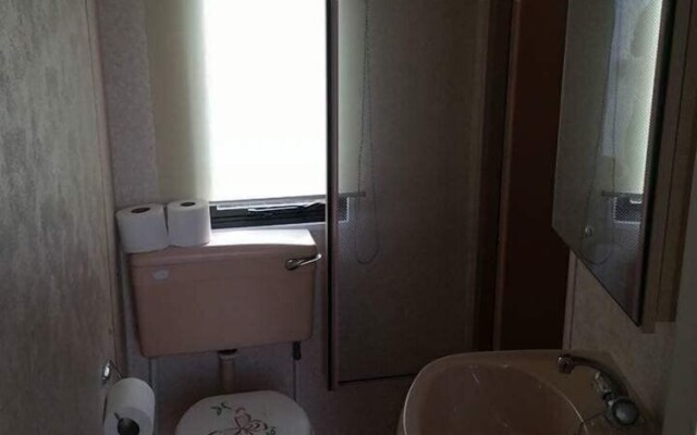 T & J's Caravan - Golden Palm