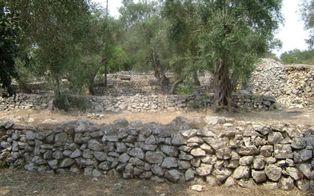 Villa Elvira