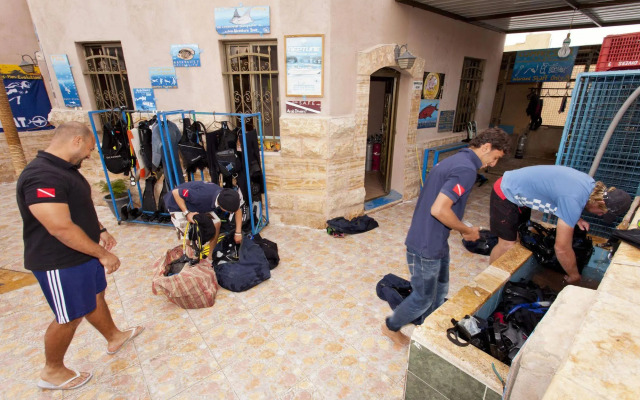 Arab Divers