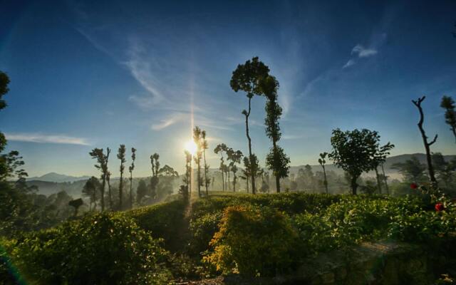 The Tea Tree Resort