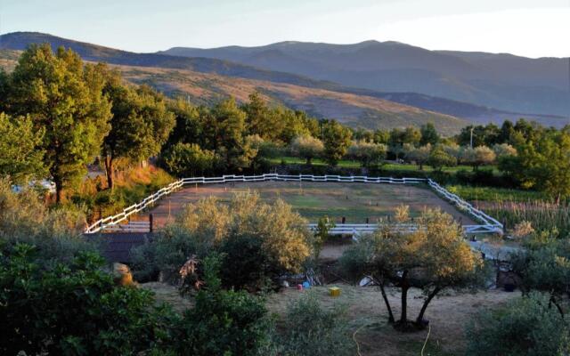 Fattoria La Tana della Volpe