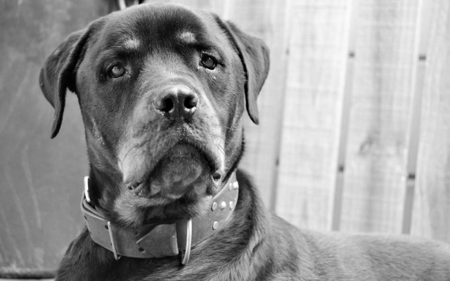 Versailles Self-Catering