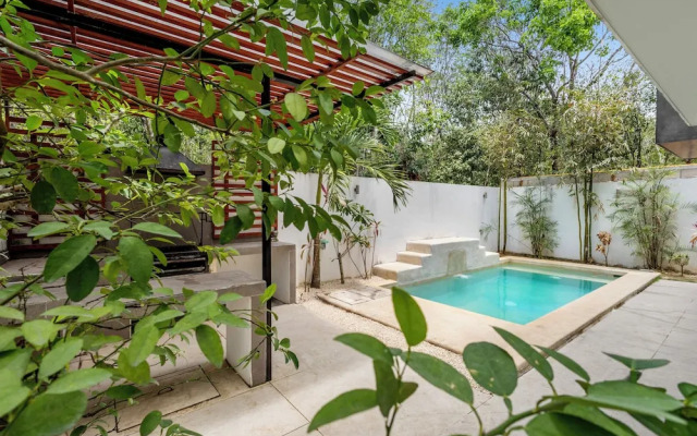 Senderos De Ciudad Mayakoba