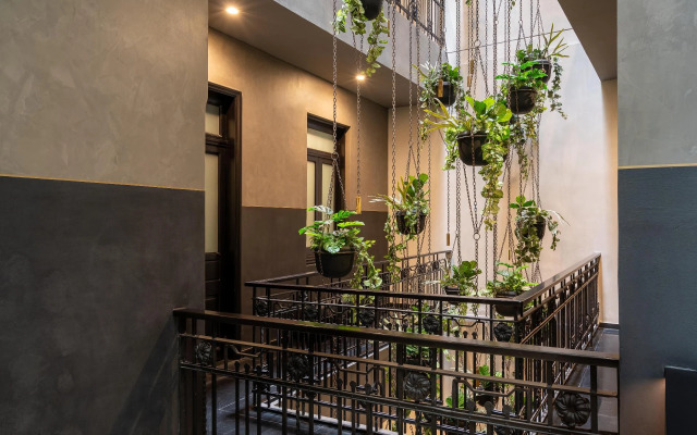 Umbral, a Curio Collection by Hilton