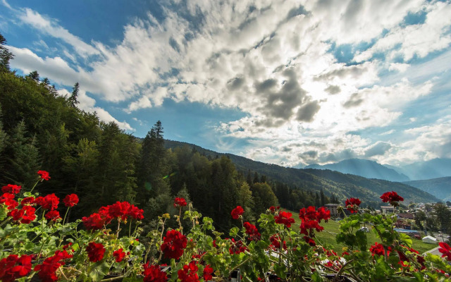 Lux Garden Hotel