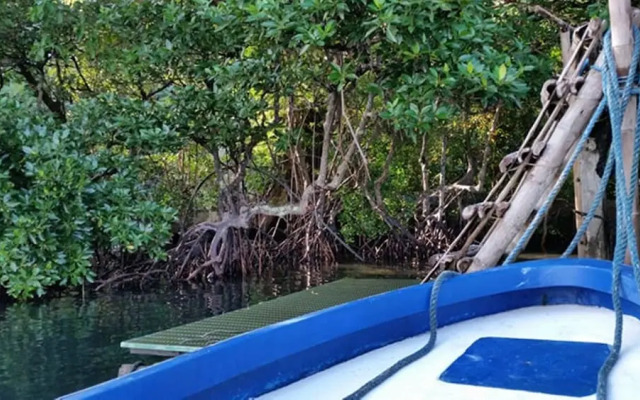 Bahay Isla Sanctuario