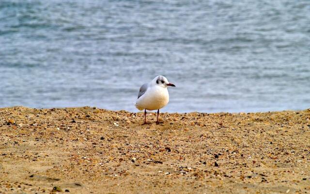 Schleswig-Holstein Whg 02 EG re