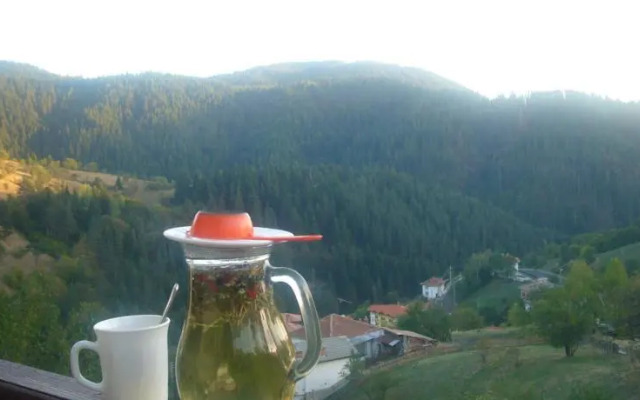 Momchil Unak Guest House