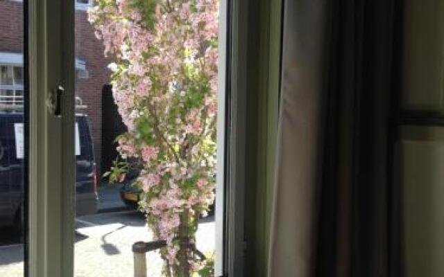 Bed and breakfast De Verkadekamer