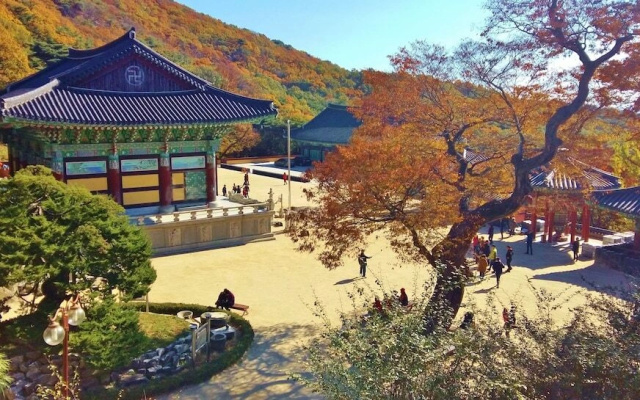 Better Guest House