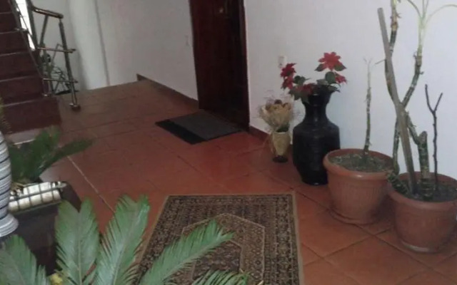 Pensiunea Europa Olanesti