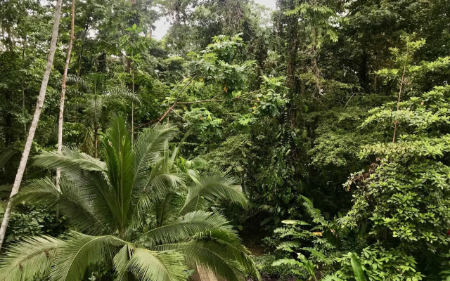 La Kukula Lodge