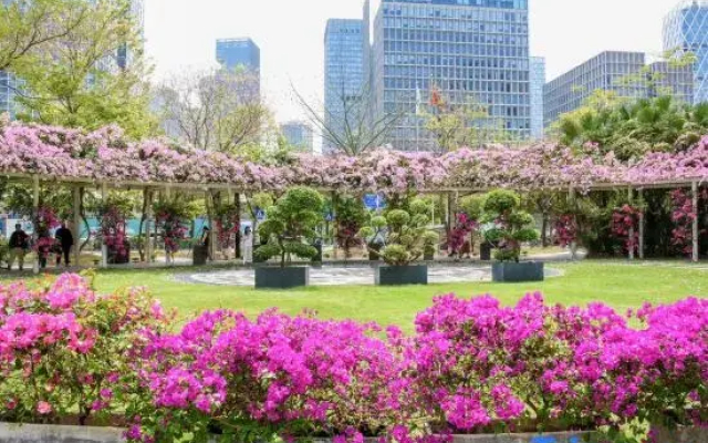 Royce Light Residence Hotel, Nanshan Science and Technology Park,