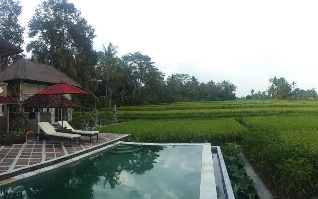Pondok Bungkuan