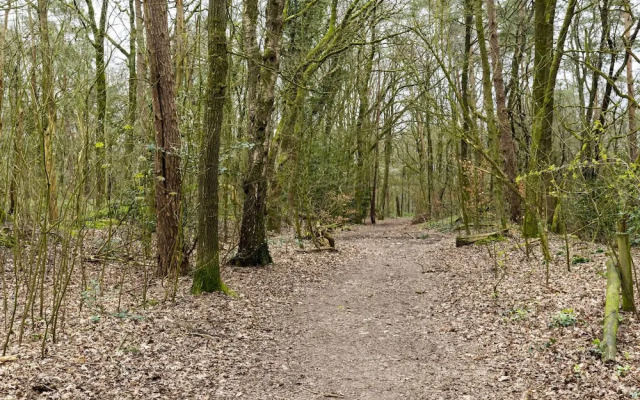 Scenic Chalet in Garderen with Private Garden