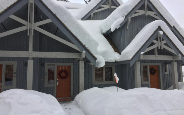 23 Treeline