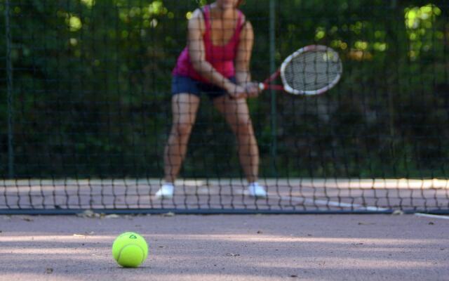 Semi-detached Bungalow With Microwave, in the Great Vendée