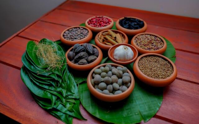 Celestia Ayurveda Resort