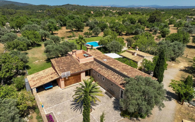 Selva - 3890, Mallorca