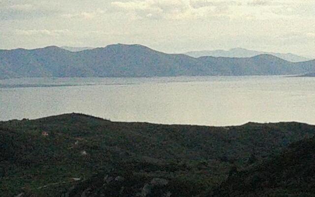 Dryalos