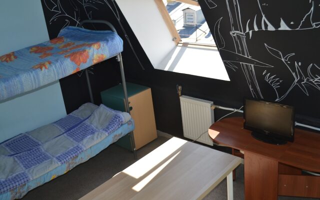 Hostel Gostevoi dom