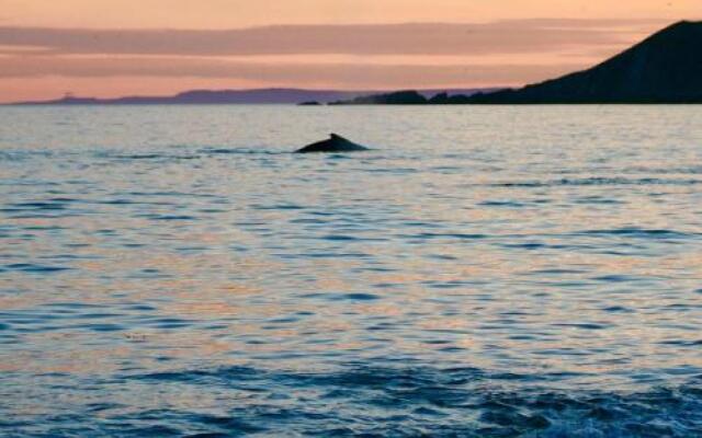 The Convent Guesthouse