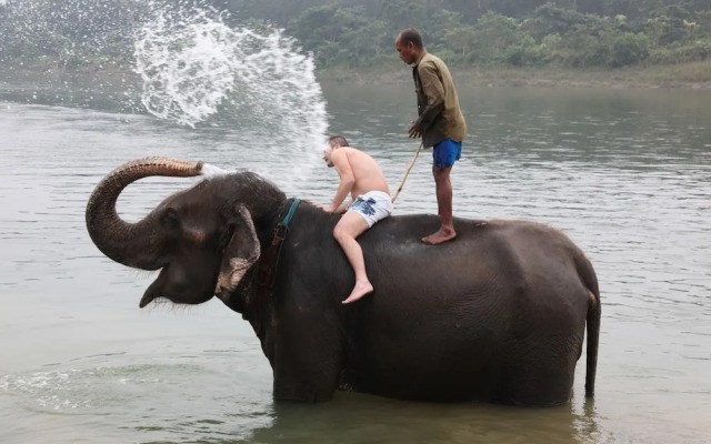 Safari Narayani Hotel- All Inclusive