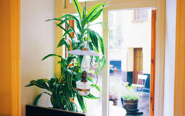 Beautiful, Artistic, Heirloom Apartment