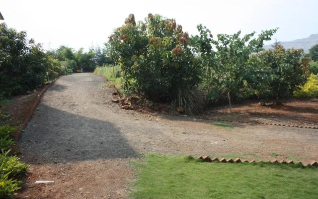 The Ark Wellness Retreat