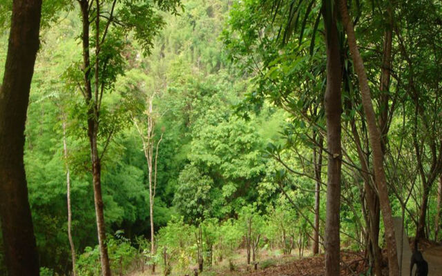 Sam's Jungle Guesthouse