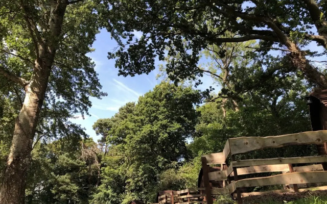 Edinburgh Cabin Camping